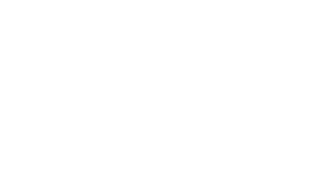 BIG PICTURE / Homepage